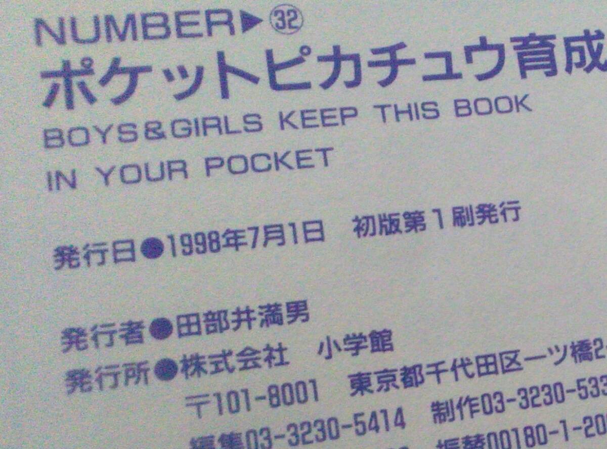 【匿名発送・追跡番号あり】 ポケットモンスター ポケットピカチュウ 育成日記 シール未使用 記入なし