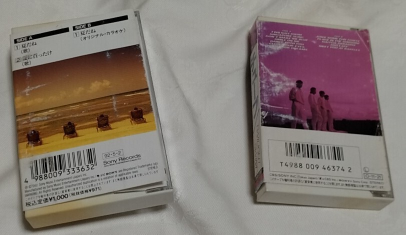 TUBE チューブ カセットテープ 夏だね 1995年シングル TWILIGHT