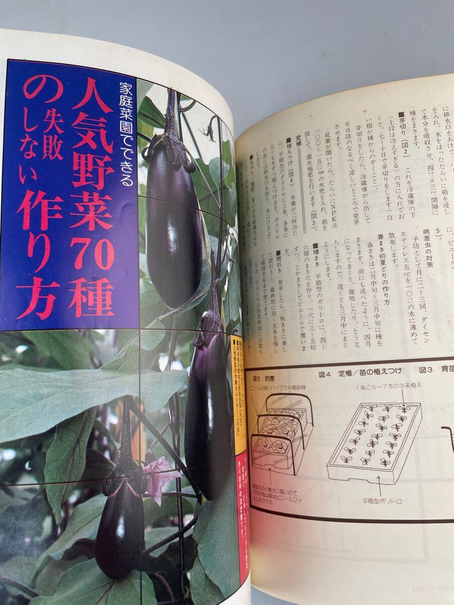 【送料無料】人気野菜を作る図解家庭菜園百科 昭和52年3月