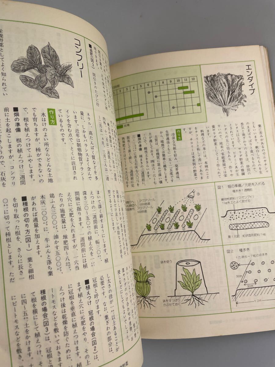 【送料無料】人気野菜を作る図解家庭菜園百科 昭和52年3月
