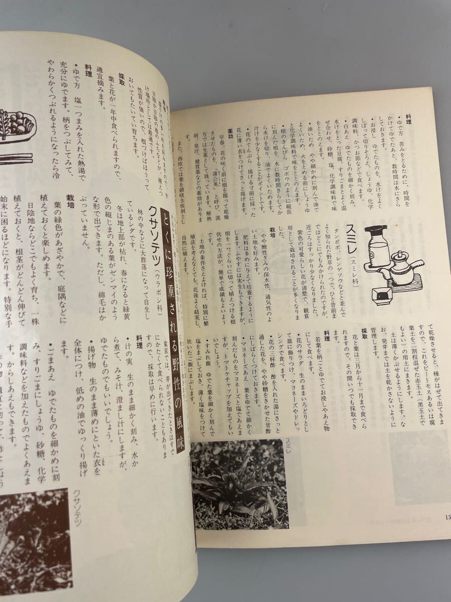 【送料無料】人気野菜を作る図解家庭菜園百科 昭和52年3月