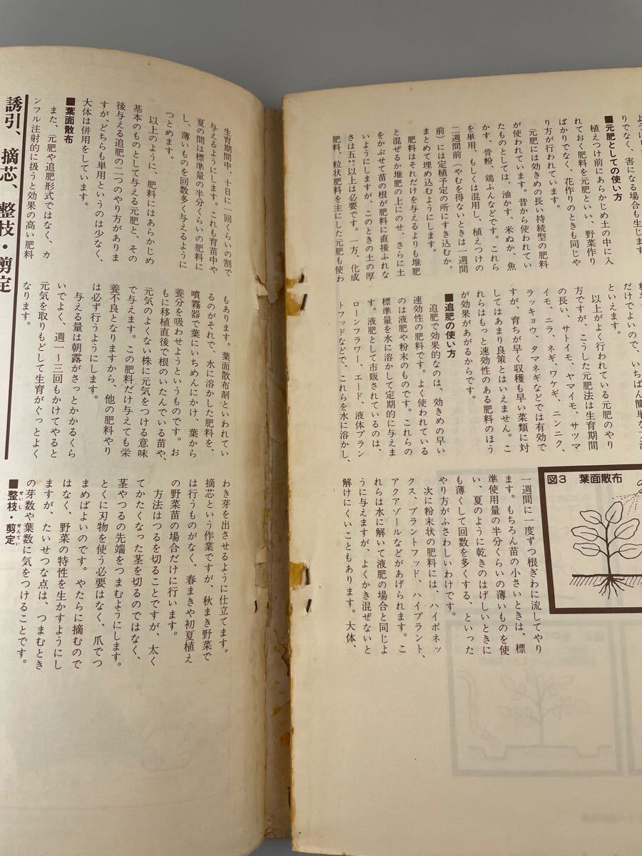 【送料無料】人気野菜を作る図解家庭菜園百科 昭和52年3月