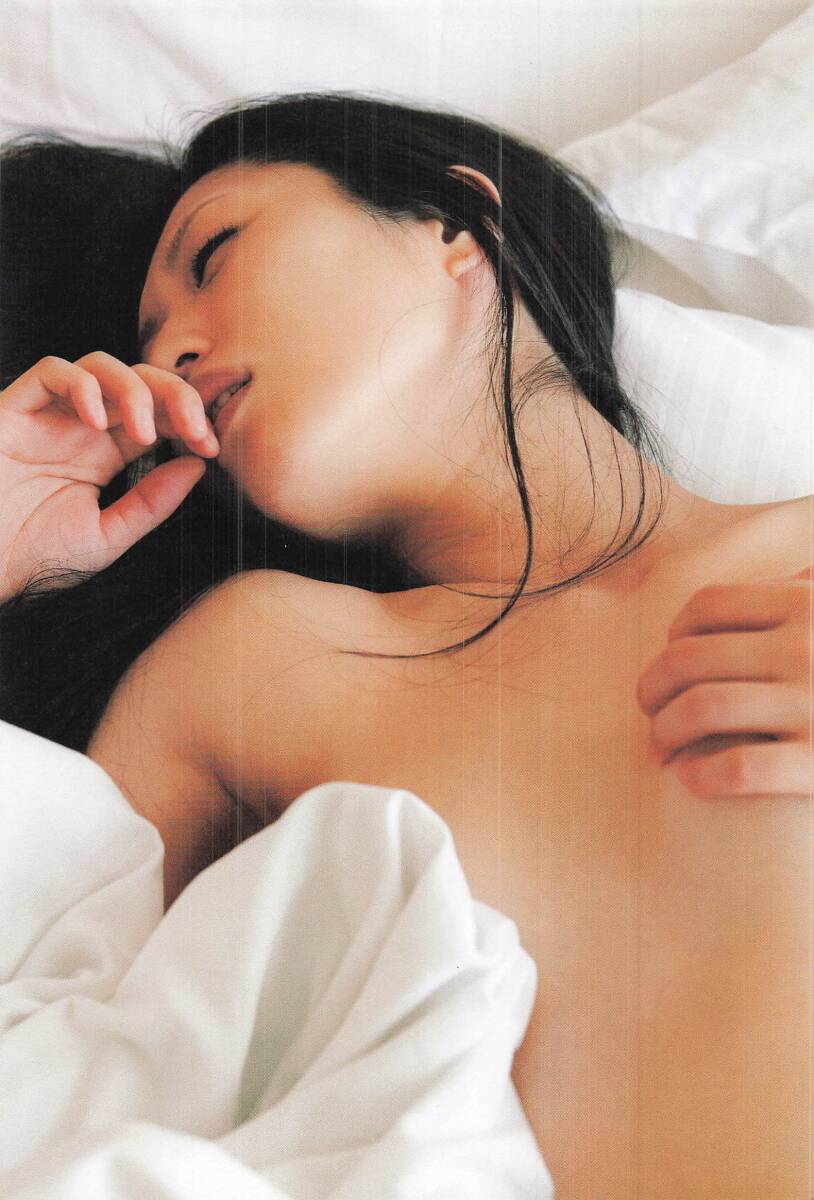 壇蜜fake sex 厚手ラミネート加工 壇蜜 写真集 切り抜き はじしらず ヌード A5 10ページ HS06  2013(その他)｜売買されたオークション情報、yahooの商品情報をアーカイブ公開 - オークファン 本、雑誌