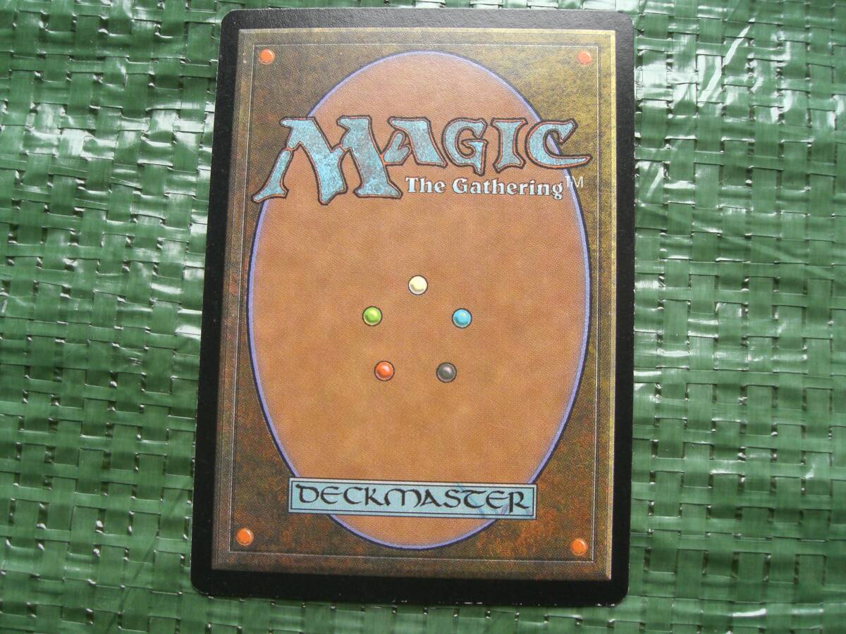 Amazon.co.jp: マジックザギャザリング MTG 土地 日本語版