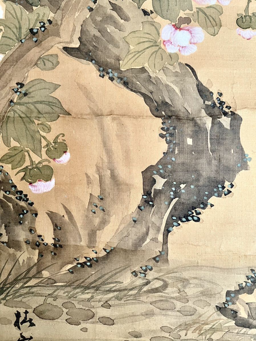 椿椿山画譜(椿椿山（無落款）) / 名雲書店 / 古本、中古本、古