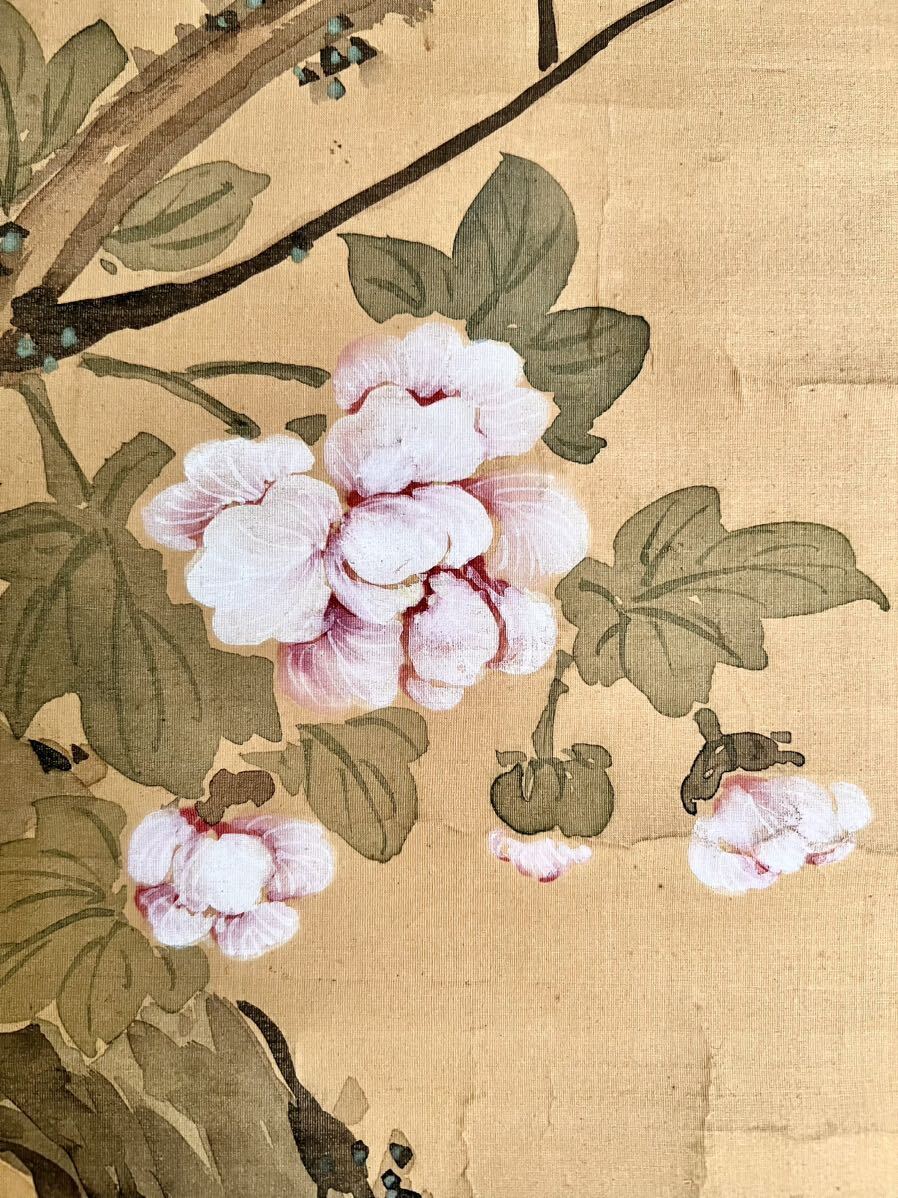 模写/椿椿山/王貌仙姿/紫陽花/絹表装/桐題箱付/布袋屋掛軸HG-122 Yahoo!オークション - 【真作】【仙】椿椿山「紅葉小禽図」絹本