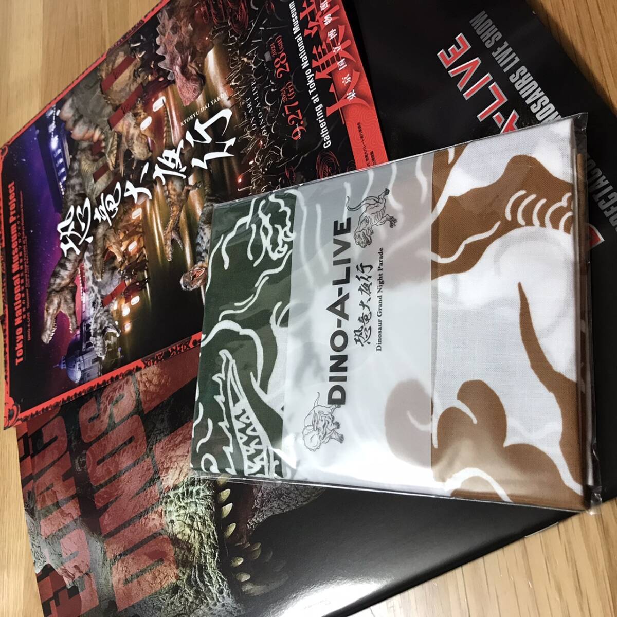 【美品】DINO-A-LIVE　恐竜大夜行　パンフレット　てぬぐい　入場特典【限定品】