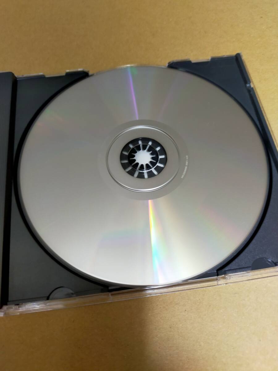 即決 帯付き CD STRUTTER LOVES YOU ストラッターラブズユー