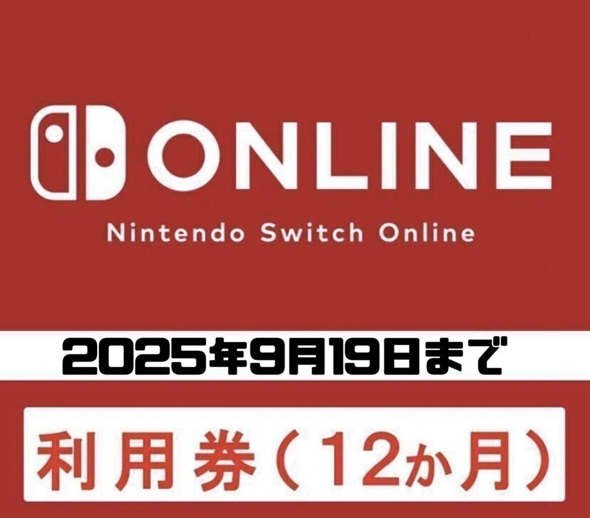 Nintendo Switch Online ニンテンドースイッチオンライン ファミリープラン 12ヶ月