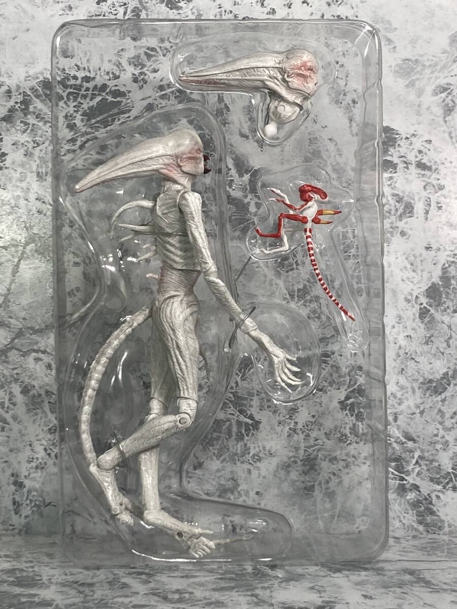 NECA/ネカ ネオモーフ/エイリアン コヴェナント 7インチ
