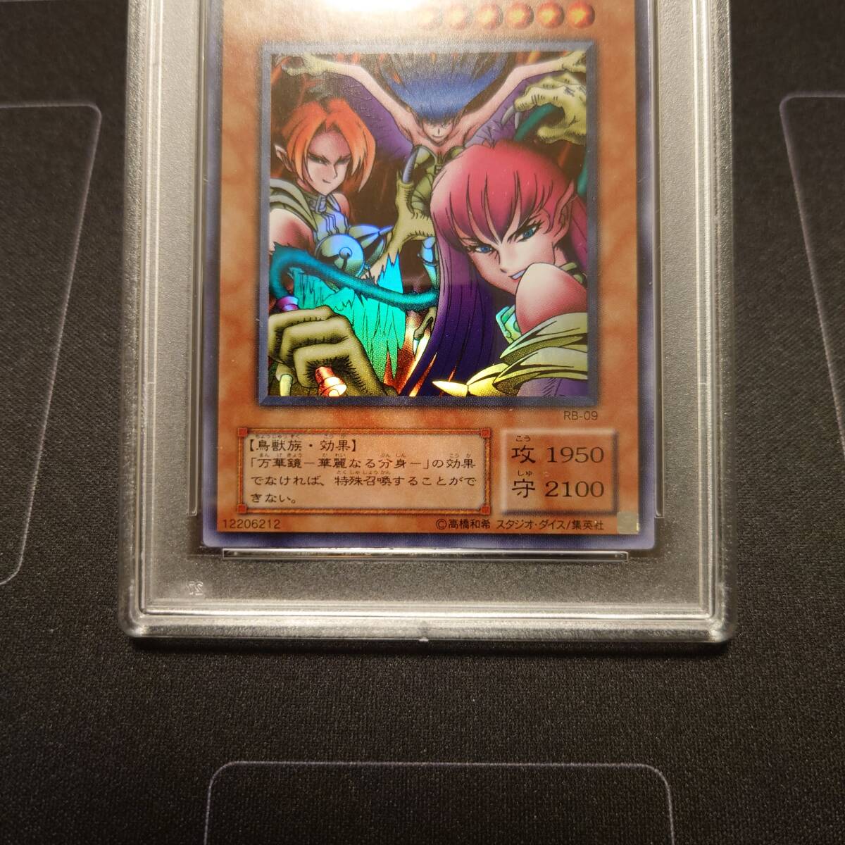 最新コレックション レディ ハーピィ 2期 遊戯王 PSA10 三姉妹 PSA鑑定 ウルトラ 遊戯王OCG デュエルモンスターズ