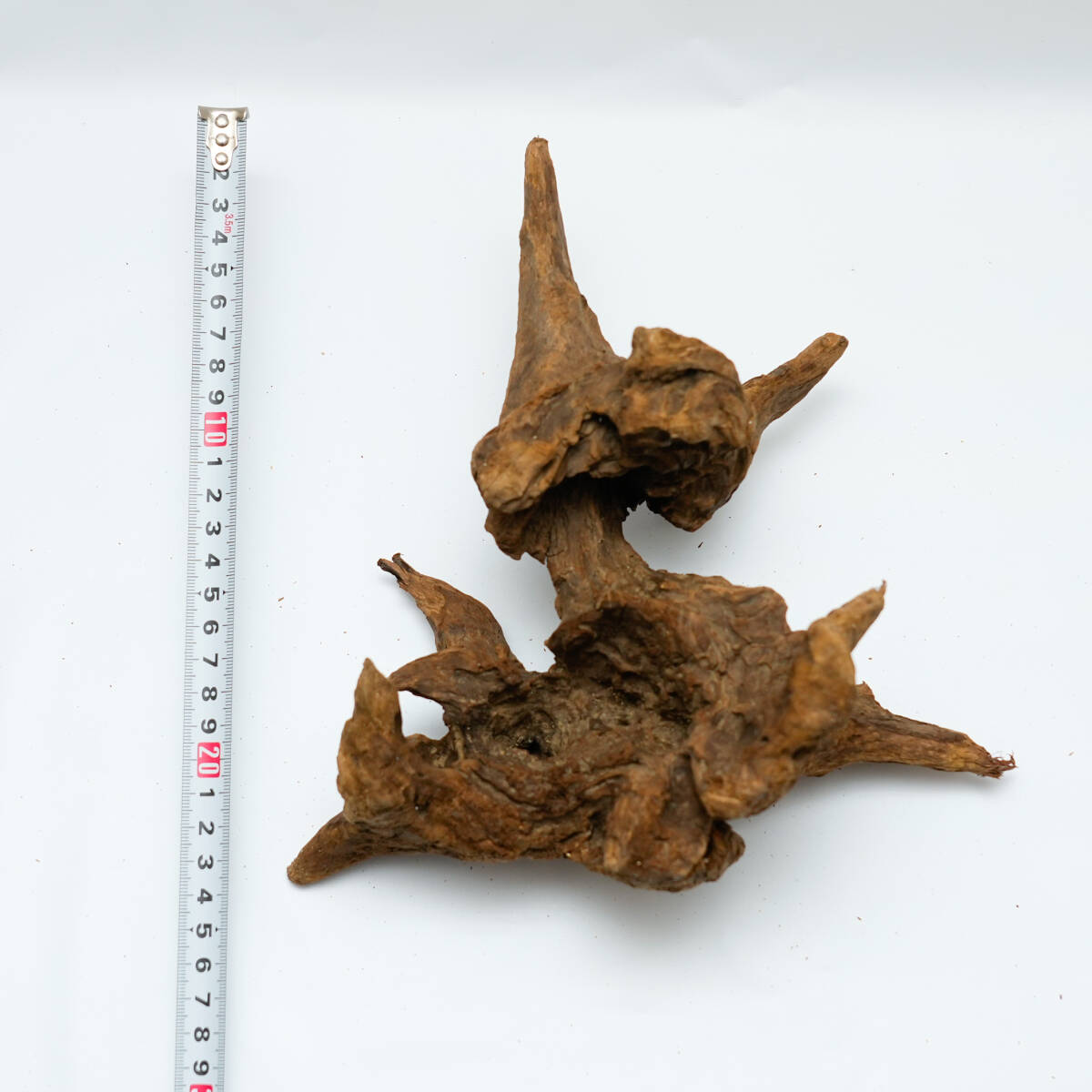 神形状！天然流木 30cm水槽用 アクアリウム レイアウト パルダリウム Yahoo!オークション - 神形状 天然流木 30cm水槽用 アクアリウム