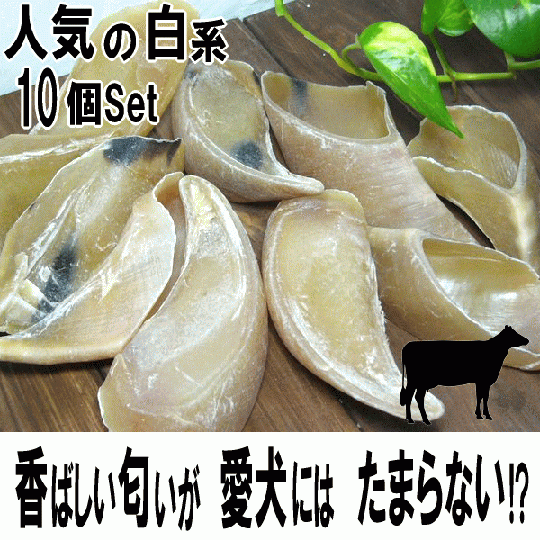 牛 ヒヅメ 白系 10個セット 小型犬 中型犬 大型犬