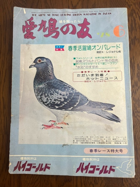【愛鳩の友/1978年6月号】_画像1