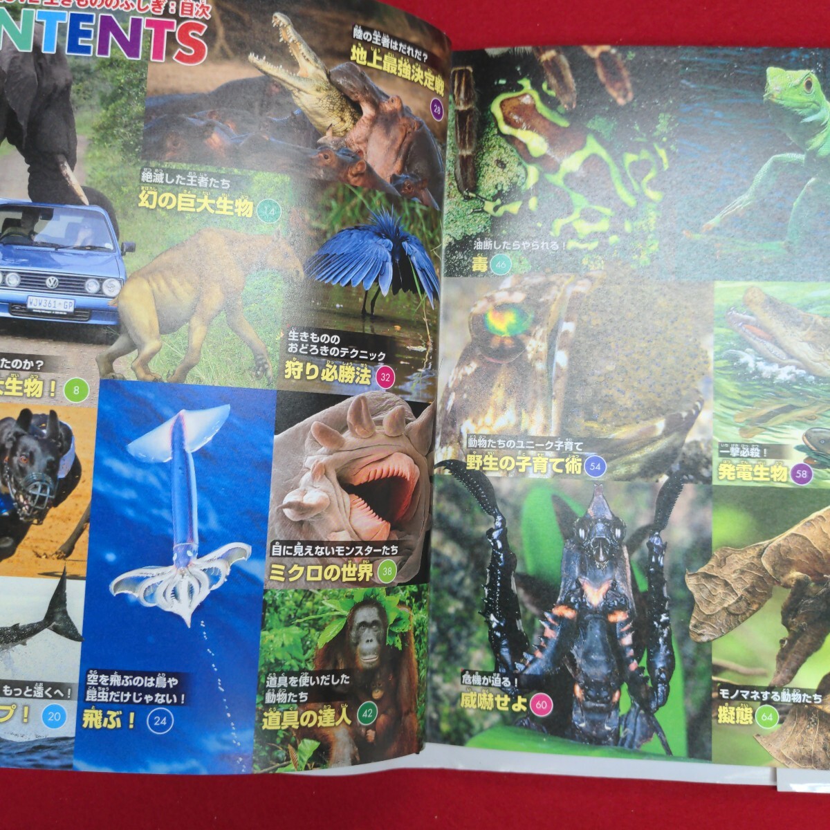 item_image_4
