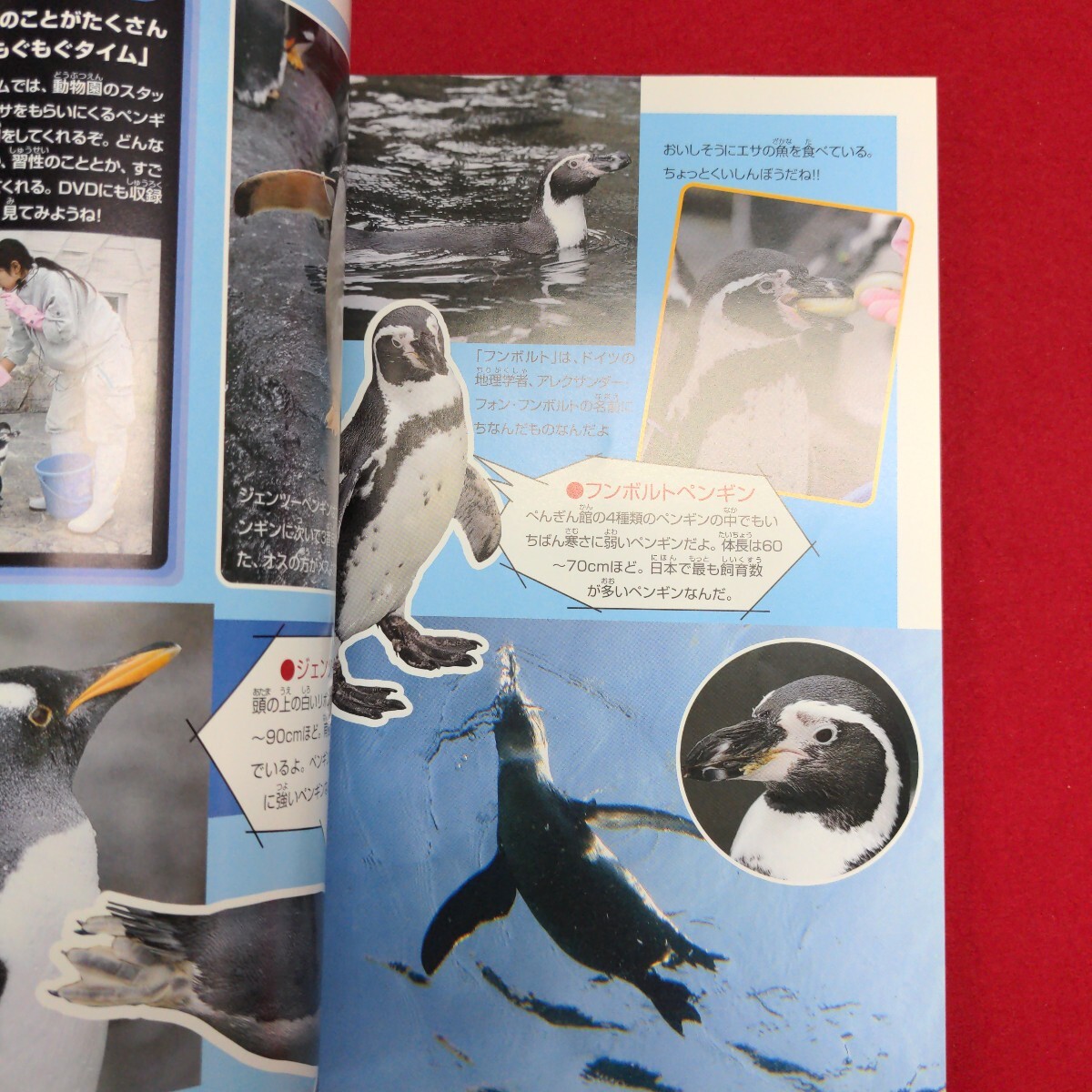 item_image_6