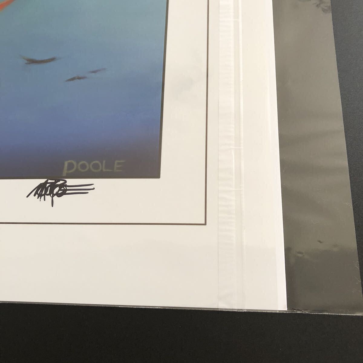 Mark Poole氏 直筆サイン入り アートプリント 極楽鳥 Birds of Mark Poole氏 直筆サイン入り アートプリント 極楽鳥 Birds of
