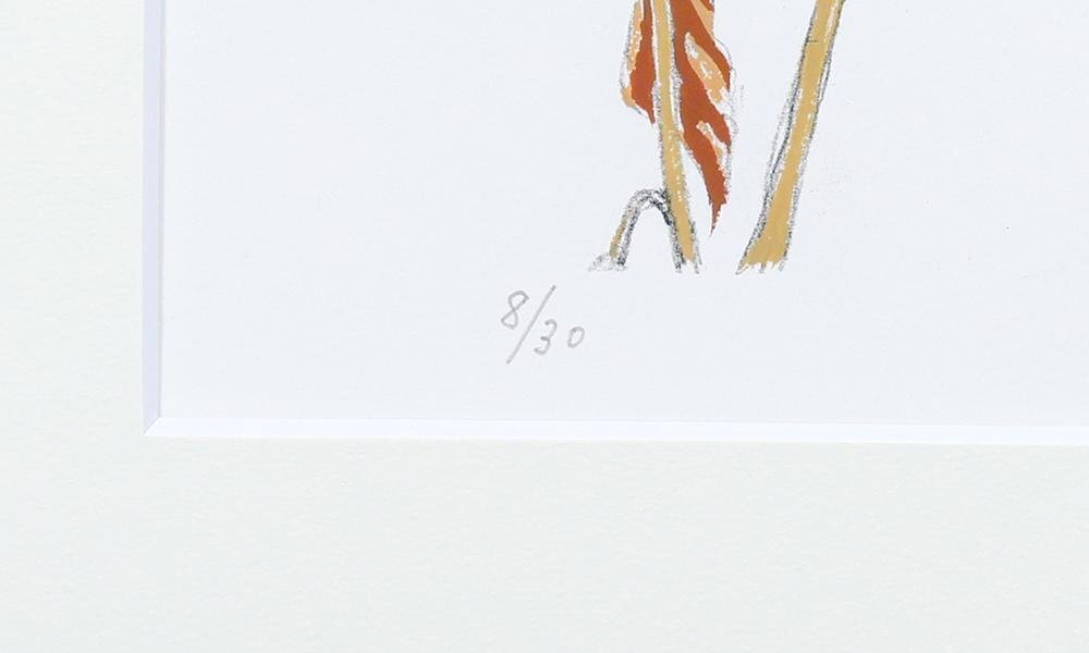 真作 WISH 吉田穣 リトグラフ 6号大 直筆サイン 鳥図 〇春陽会友 真作 WISH 吉田穣 リトグラフ 6号大 直筆サイン 鳥図 〇春陽会友
