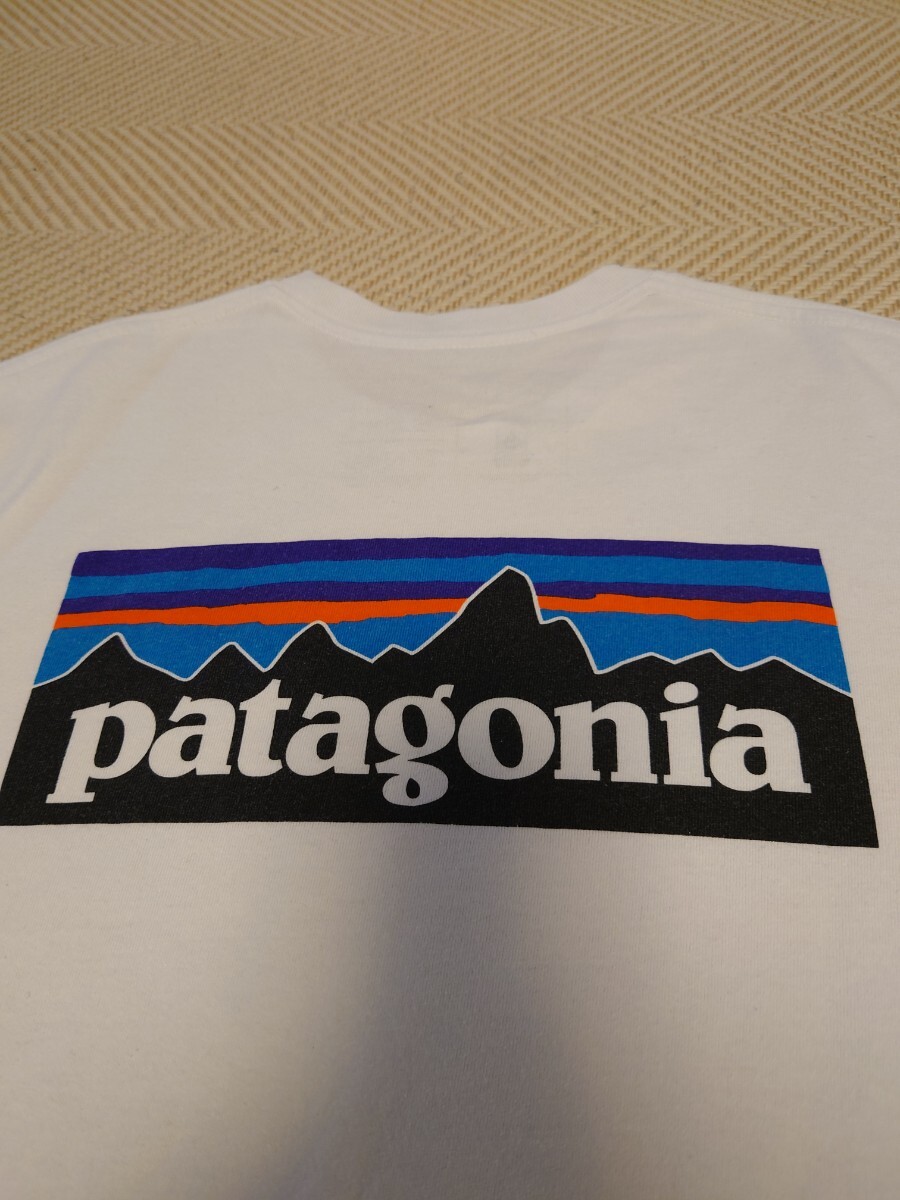 パタゴニア Tシャツ ホワイト patagonia　サイズL 検索用ノースフェイスマムートCHUMSNORTH FACEチャムスキャンプアウトドア