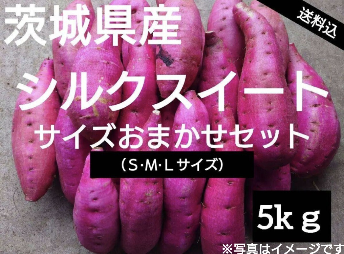 茨城県産さつまいも人気品種《シルクスイート》訳あり品サイズおまかせ（5kg）送料無料（3）