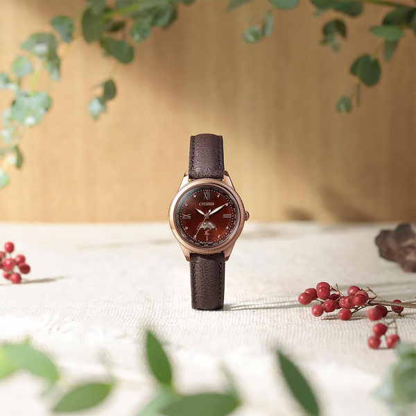 シチズン CITIZEN クロスシー daichi collection EE1002-01W 新品 腕時計 レディース_画像7