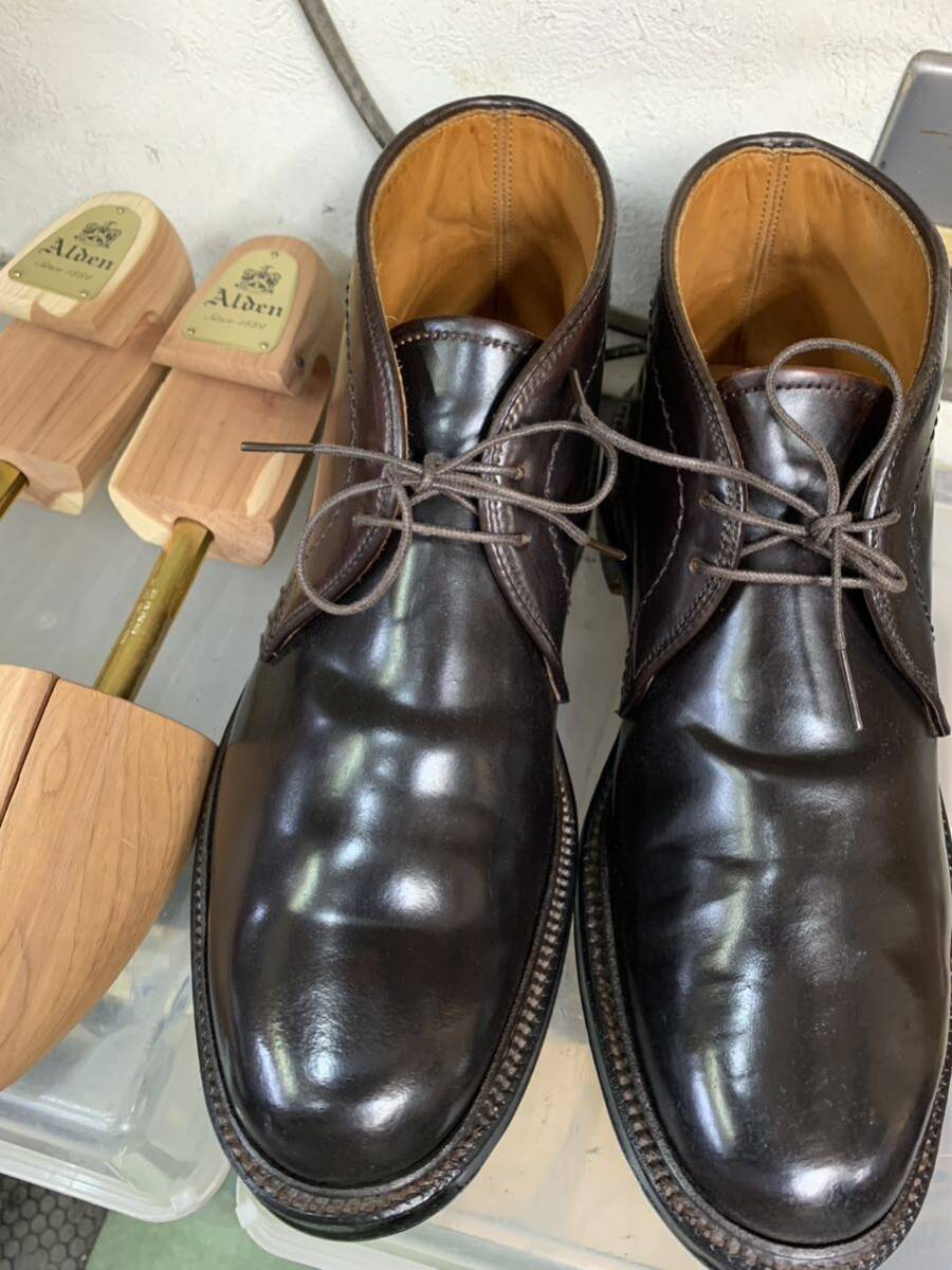 Alden オールデン コードバン 1339 チャッカブーツ 純正シュー Alden オールデン コードバン 1339 チャッカブーツ 純正シュー
