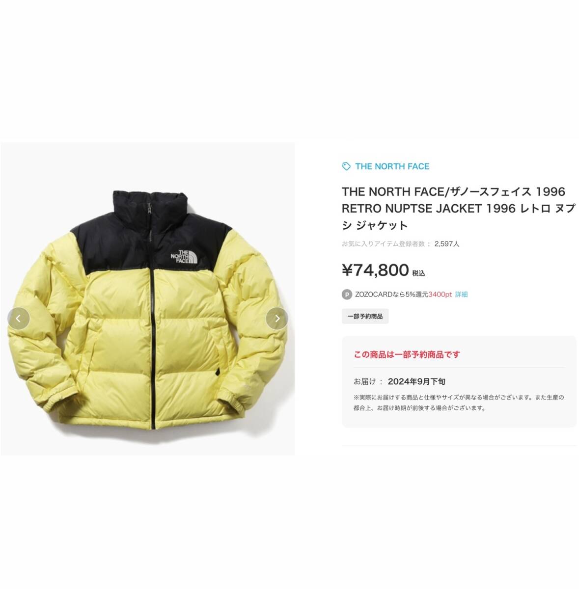 【年中無休】 モデル出品 新品 Lサイズ ノースフェイス 1996 レトロ ヌプシ Lサイズ