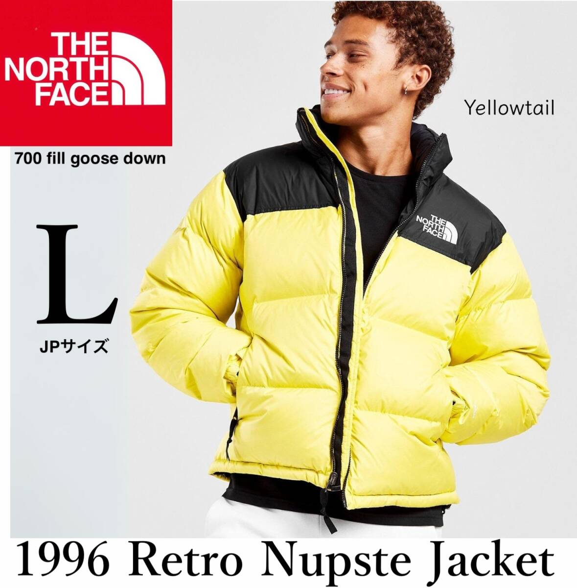 最安価格 モデル出品 新品 Lサイズ ノースフェイス 1996 レトロ ヌプシ Lサイズ