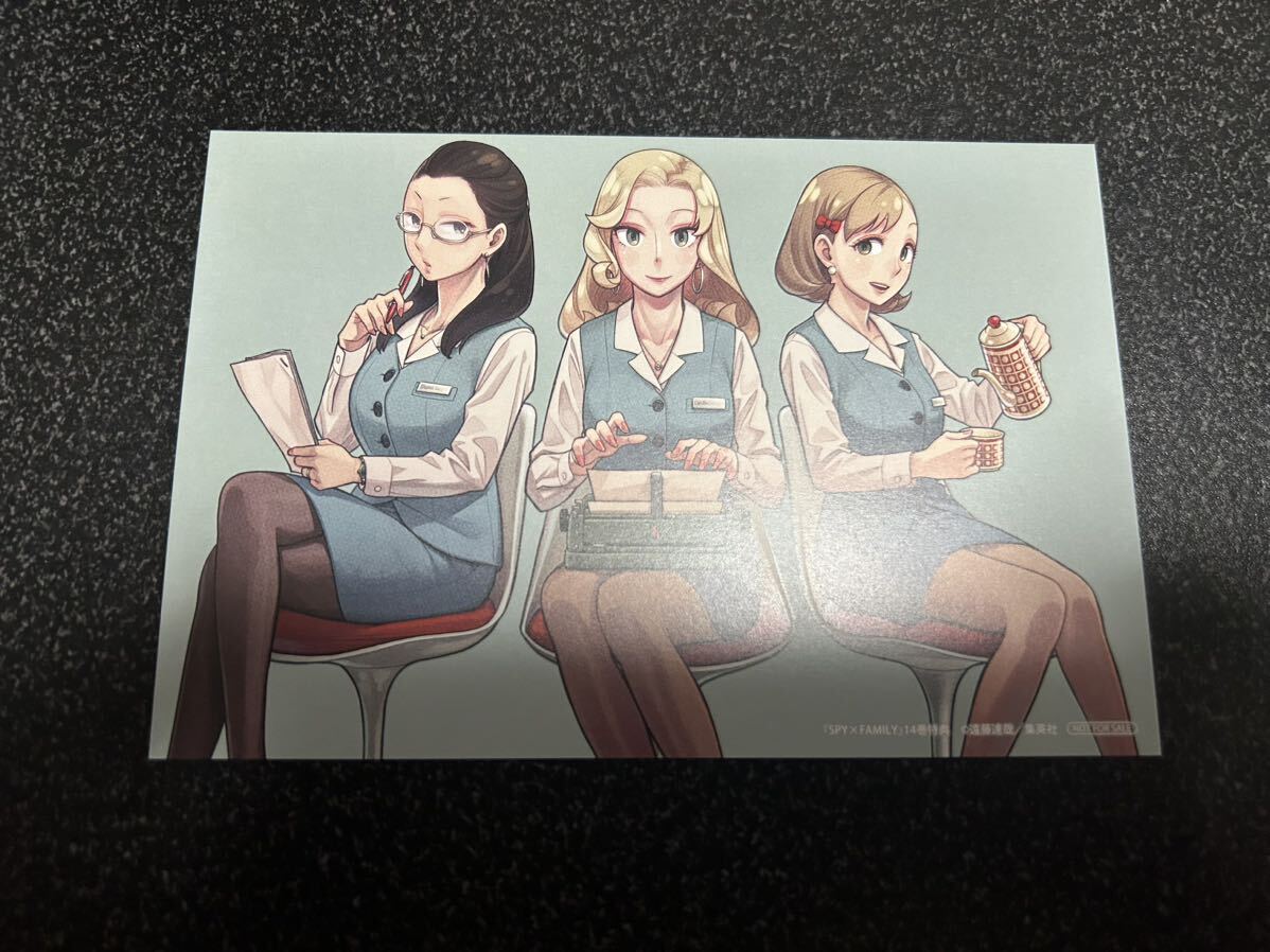 送料無料 SPY×FAMILY スパイファミリー 14巻 コミック購入特典 イラストカード アニメイト 非売品 遠藤達哉 ジャンプコミックス_画像1