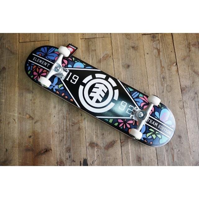 18 ELEMENT】BB027-412 サイズ 8 x 31.2 完成品　コンプリート　エレメント