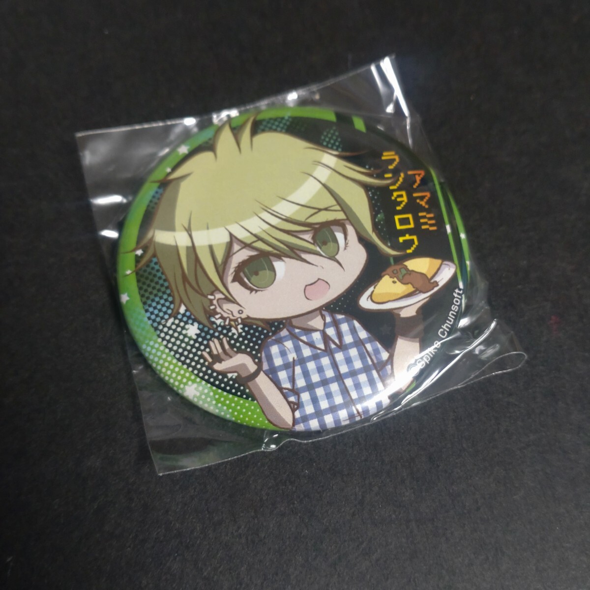 ニューダンガンロンパV3 ブラインド缶バッジ 天海蘭太郎 ニューダンガンロンパV3 天海蘭太郎 ひろい 缶バッジ