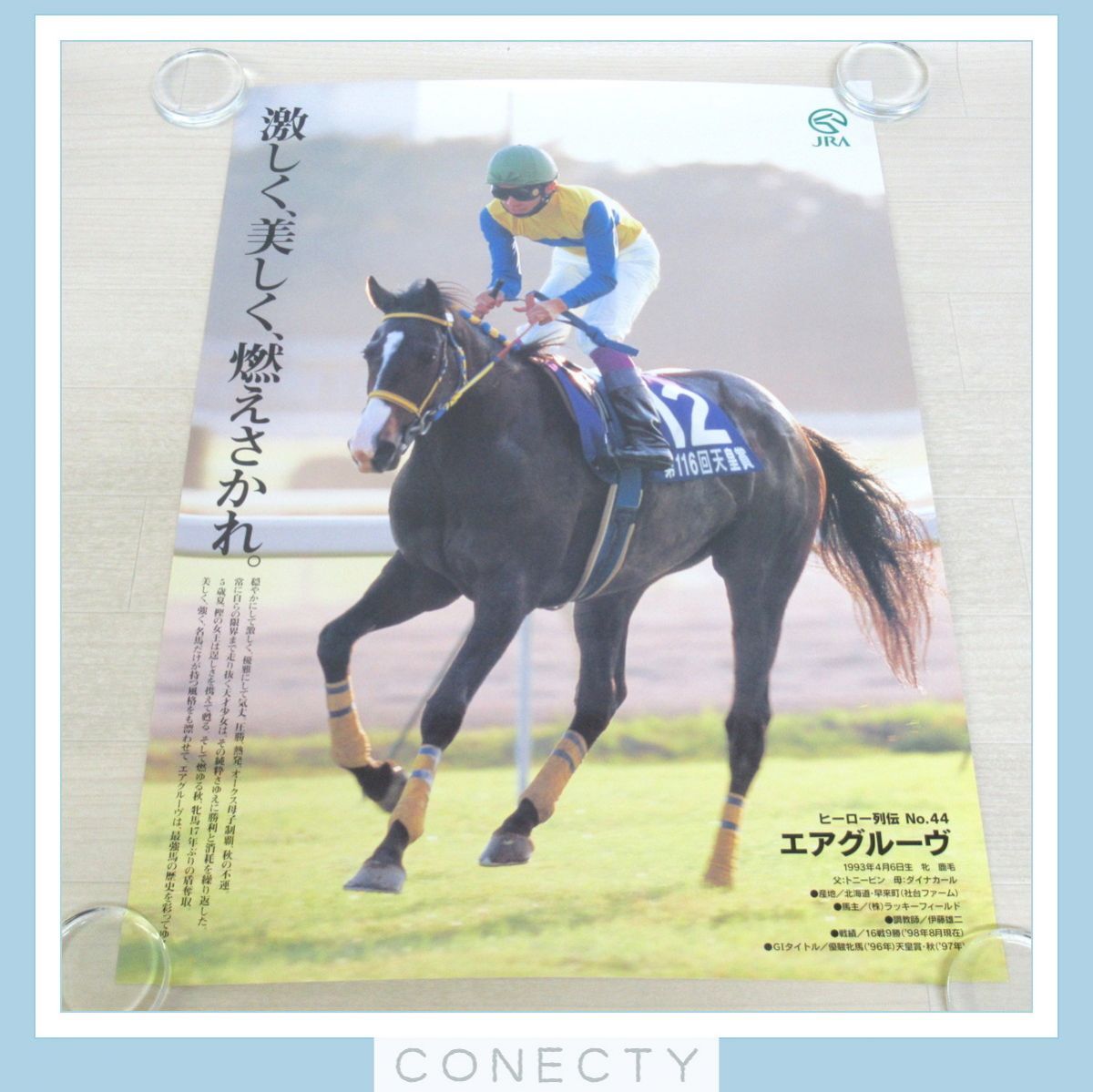 競馬 エアグルーヴ ポスター Yahoo!オークション - JRA ポスター ヒーロー列伝 エアグルーヴ