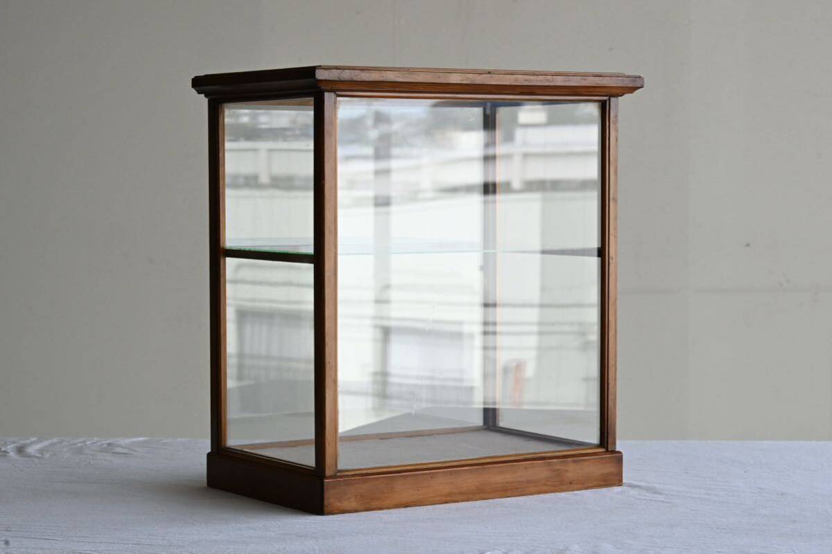 [ antique goods ] glass case collection case display display shelf showcase display case display case ornament purity tree frame bread case 