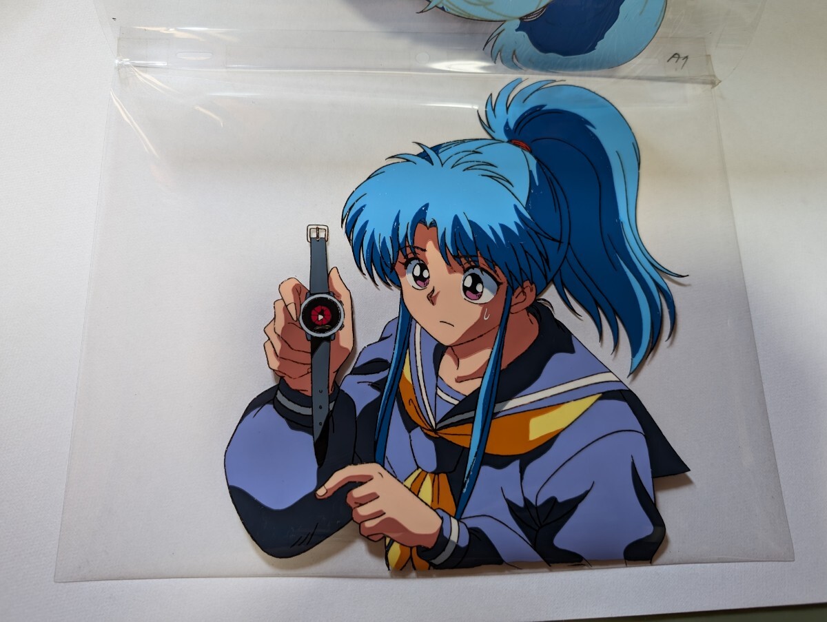 幽遊白書 ぼたん セル画 美術品 幽遊白書 ぼたん セル画 美術品