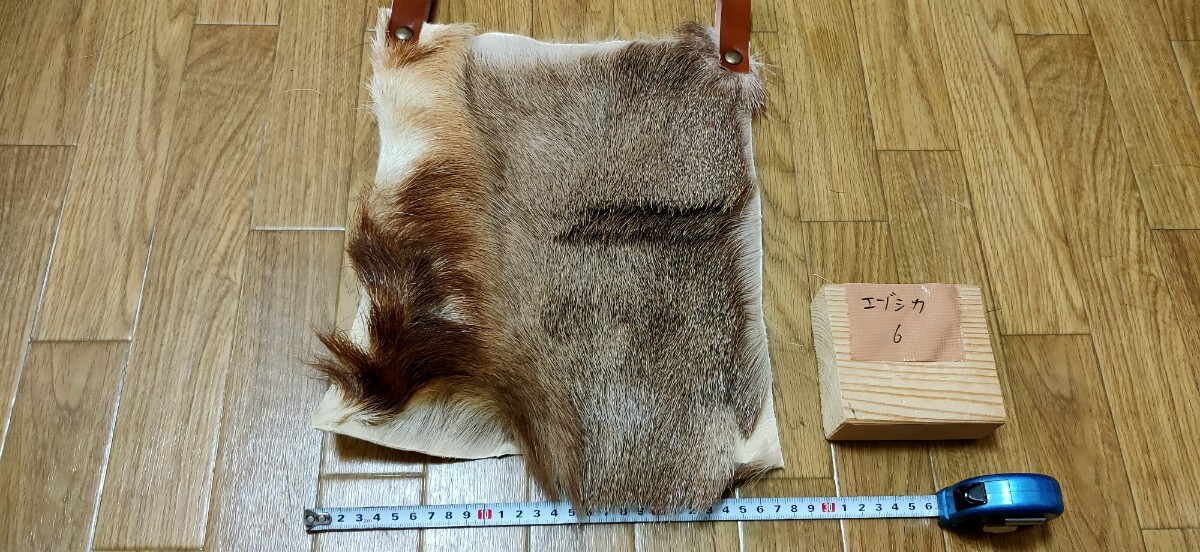 ○マタギ○エゾシカの尻皮(6) 蝦夷鹿 エゾジカ 蝦夷シカ 尻 ○マタギ○エゾシカの尻皮(6) 蝦夷鹿 エゾジカ 蝦夷シカ 尻