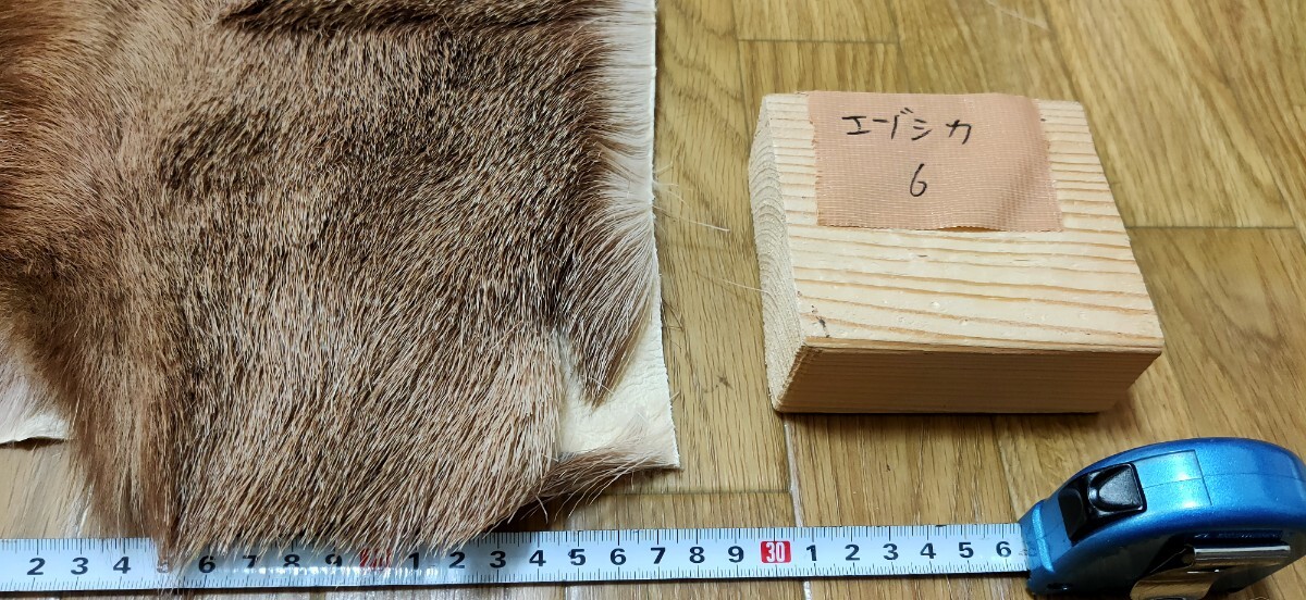 ○マタギ○エゾシカの尻皮(6) 蝦夷鹿 エゾジカ 蝦夷シカ 尻 ○マタギ○エゾシカの尻皮(6) 蝦夷鹿 エゾジカ 蝦夷シカ 尻