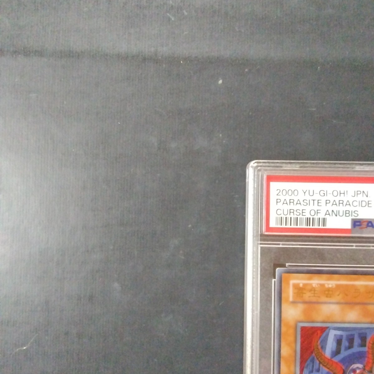 遊戯王PSA鑑定品 寄生虫パラサイドPSA9(シングルカード)|売買 遊戯王PSA鑑定品 寄生虫パラサイドPSA9(シングルカード)|売買