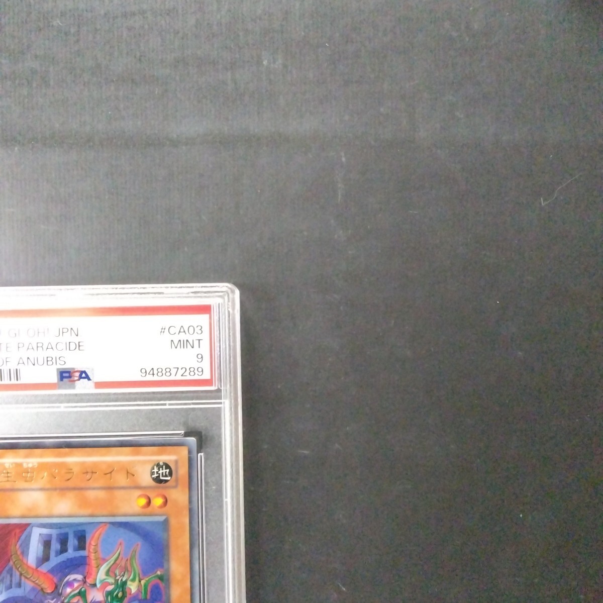 遊戯王PSA鑑定品 寄生虫パラサイドPSA9(シングルカード)|売買 遊戯王PSA鑑定品 寄生虫パラサイドPSA9(シングルカード)|売買