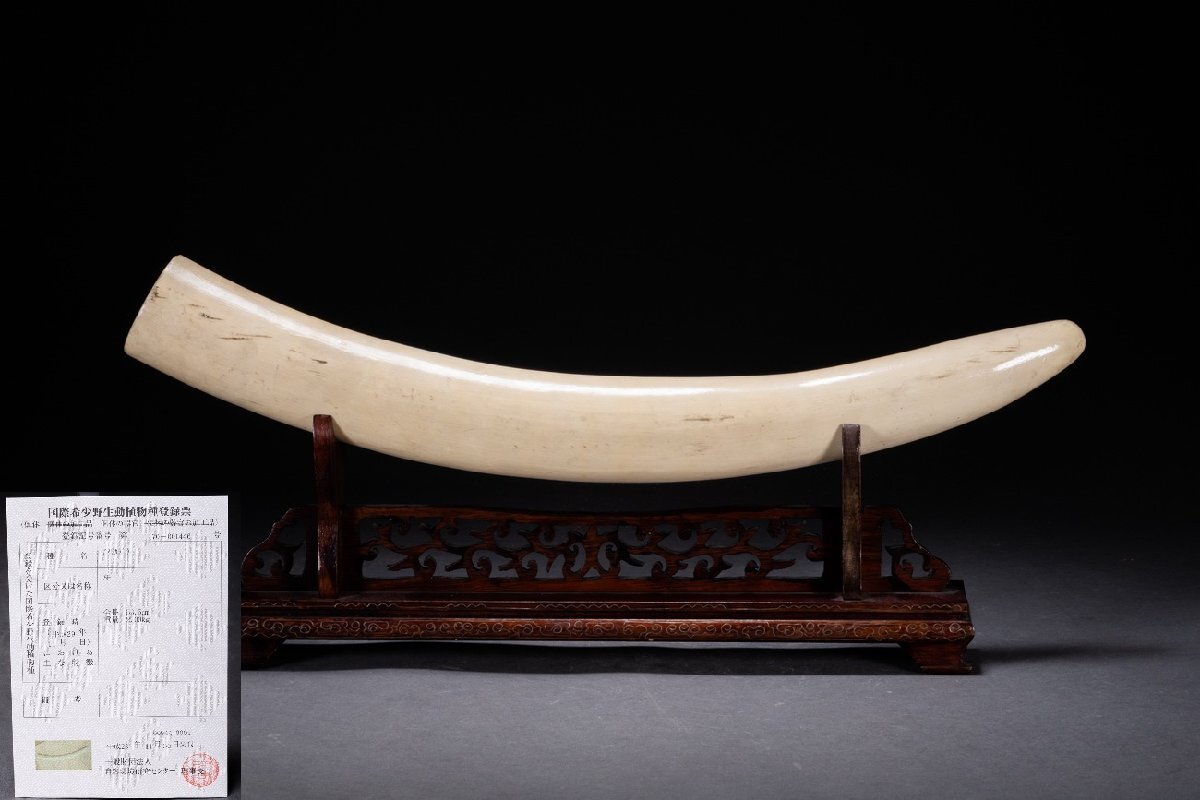 【善古堂】某有名オークション買入 時代物 特種白材 一本置物53.5CM/2Kg 豪華芯料使用 骨董品 古美術0825-405S6
