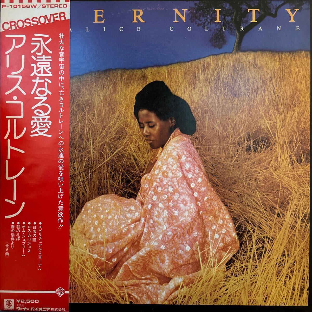  obi подкладка имеется Alice Coltrane - Eternity.. становится love Alice *koru train 