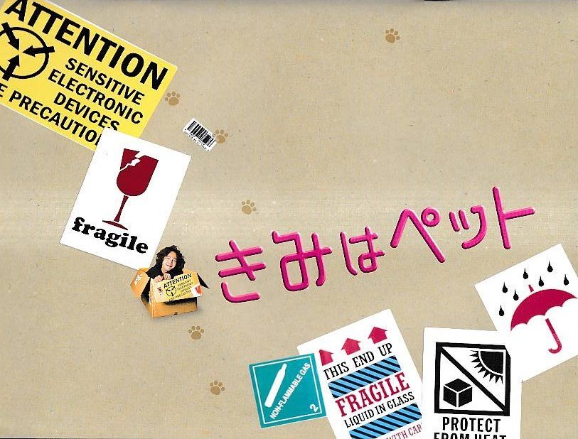 ■送料無料■Y06映畫パンフレット■きみはペット　キム?ハヌル　チャン?グンソク■