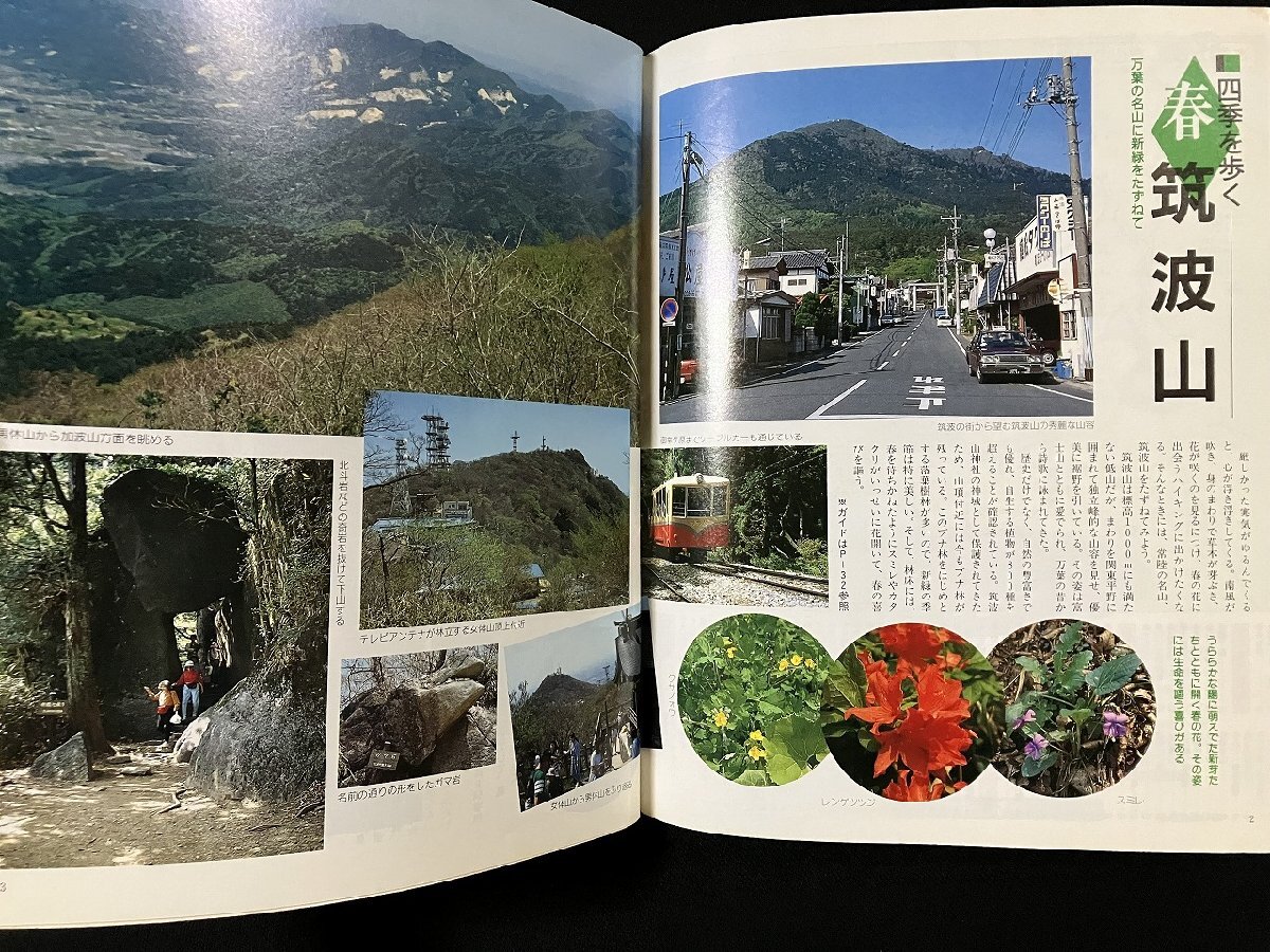 gv *93 Kanto вокруг высокий King гид rurubu информация версия 1993 год первая версия JTB Япония транспорт . фирма выпускать проект отдел /N-n01.