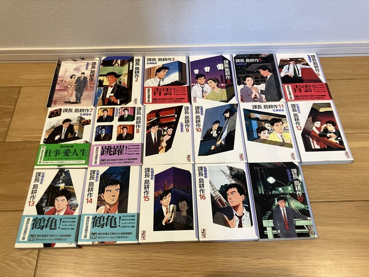 課長島耕作全17巻 部長島耕作 全13巻 30冊 比較的きれいです! 課長島耕作全17巻 部長島耕作 全13巻 30冊 比較的きれいです