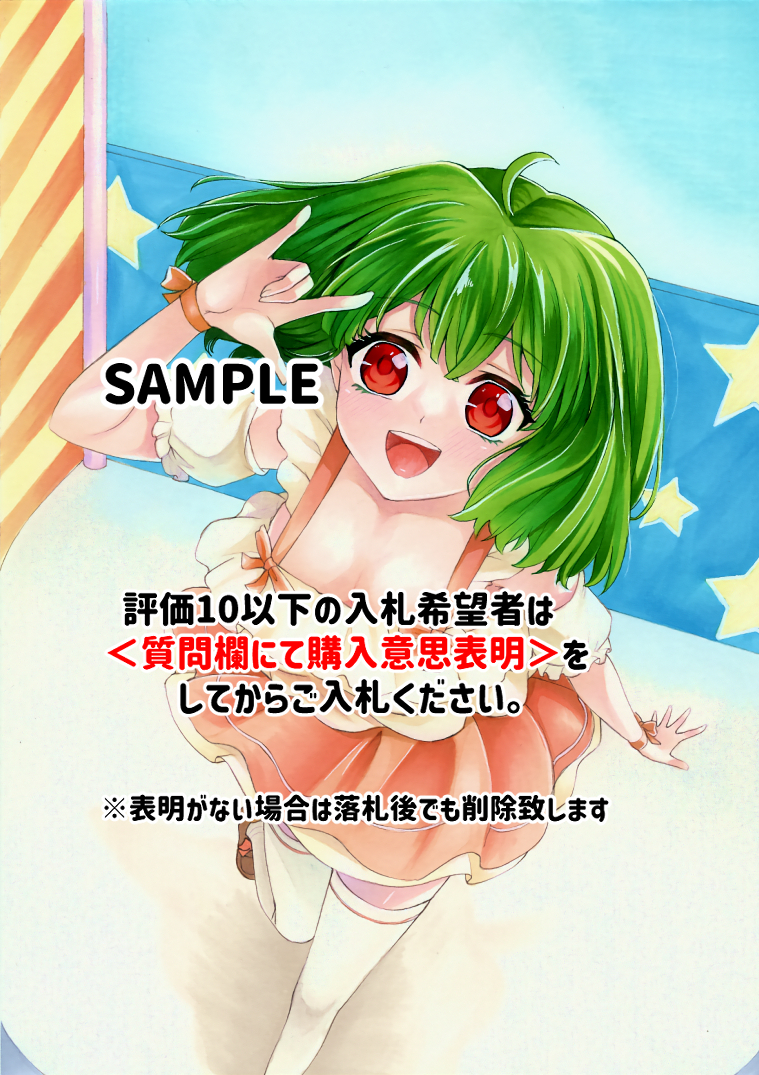 ☆☆同人　手描きイラスト　/　ランカ・リー（マクロスF）【A4】