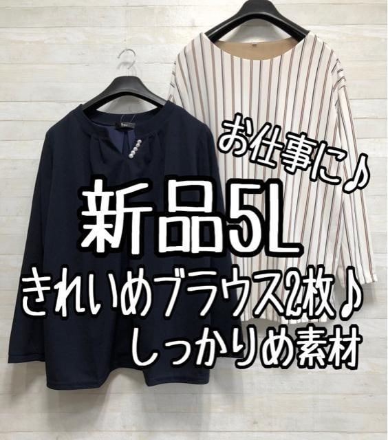 新品☆5L♪お仕事やお出でかけに♪きれいめブラウス2枚セット☆p431
