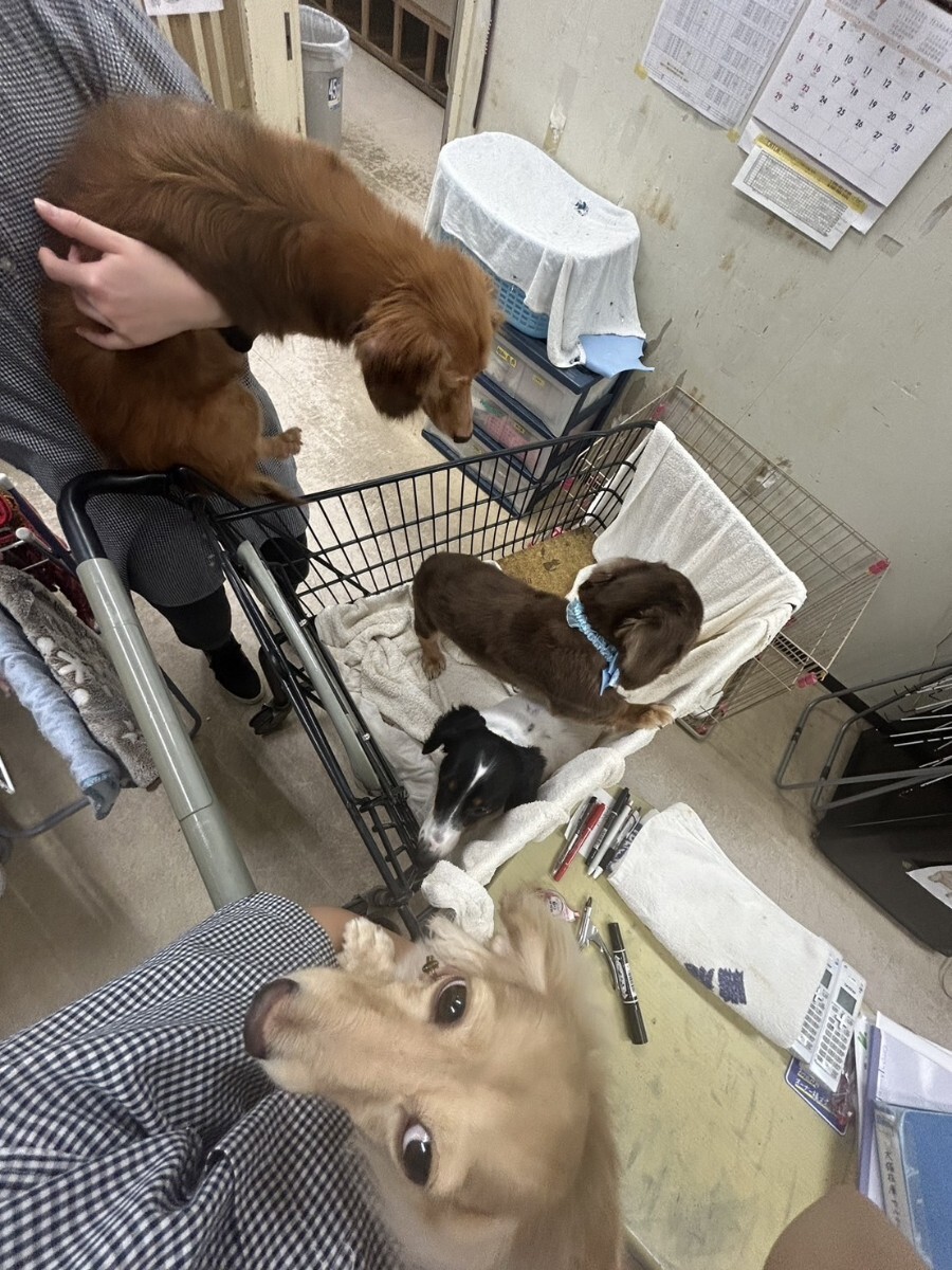 item_image_10