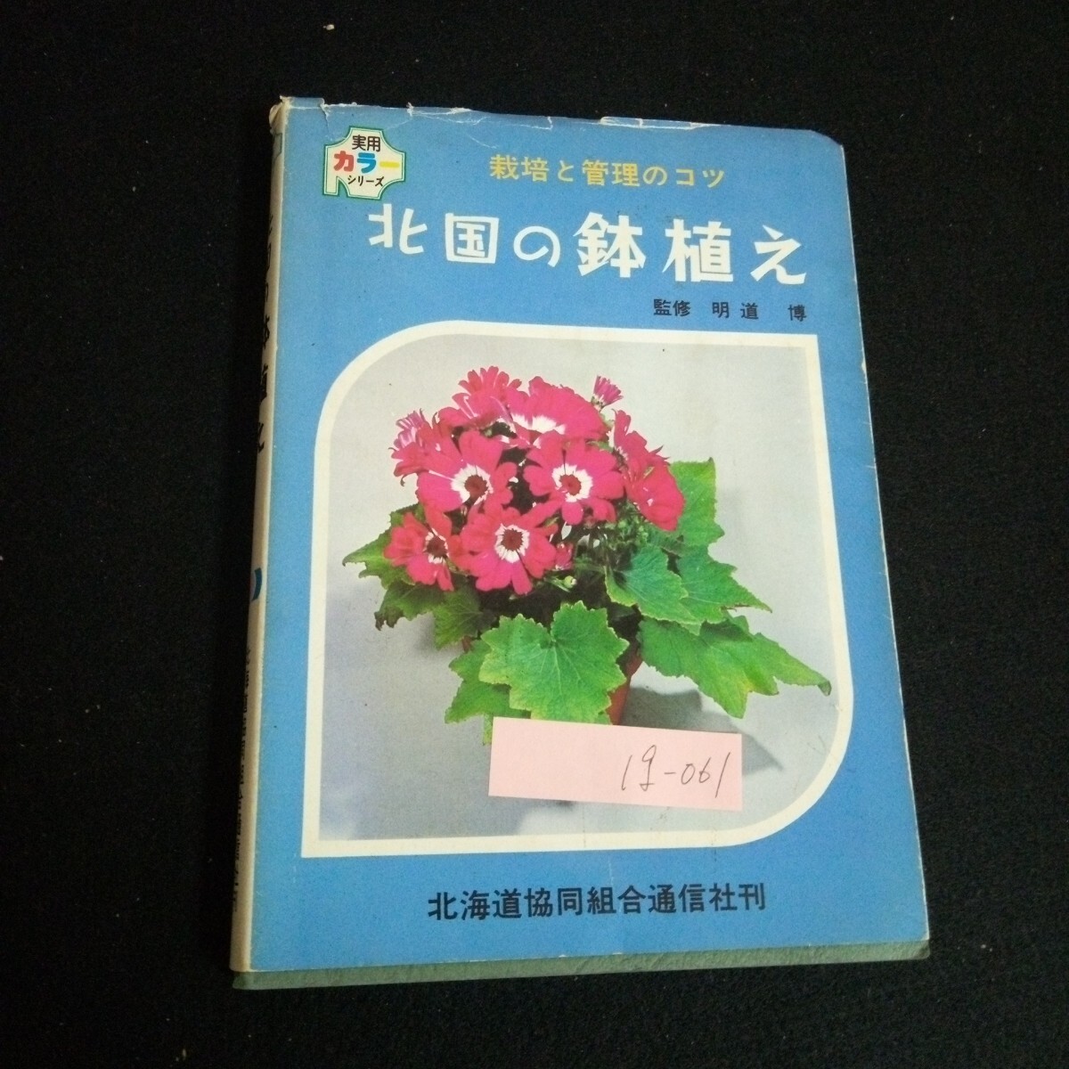 Ig-061/実用カラーシリーズ 北国の鉢植え編集兼発行人/佐々木治夫/北海道協同組合通信社 昭和51年発行 /L6/60902