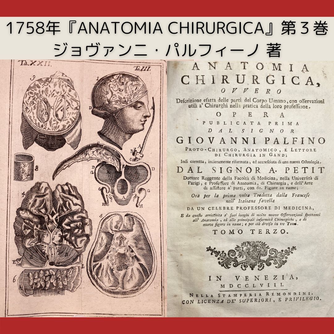 希少な医学書】1758年『ANATOMIA CHIRURGICA』第3巻 銅版画図版 希少な医学書】1758年『ANATOMIA CHIRURGICA』第3巻 銅版画図版
