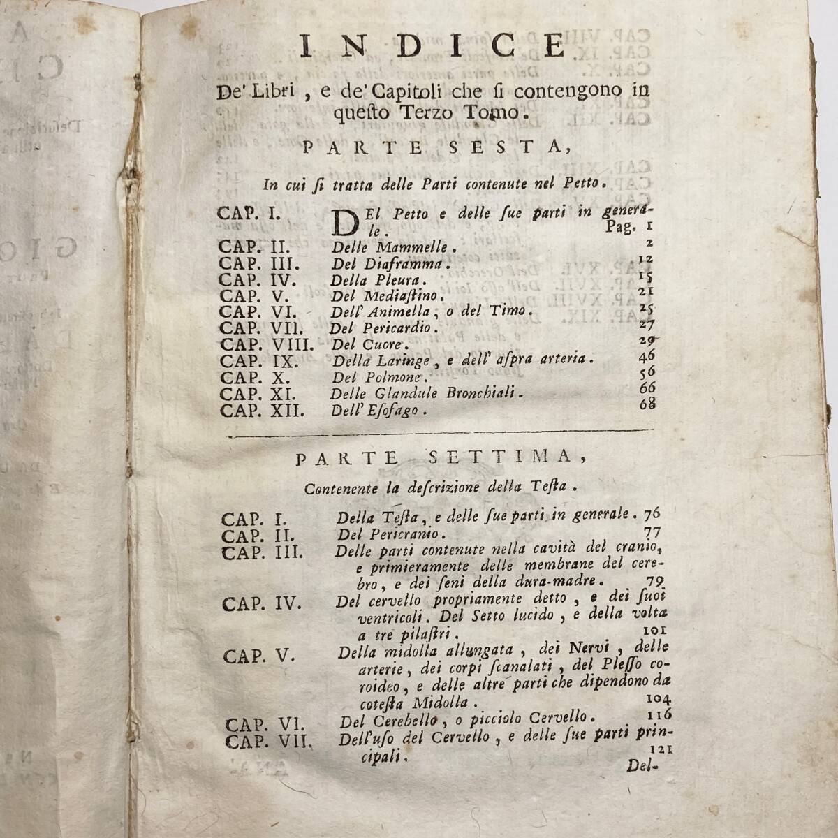 希少な医学書】1758年『ANATOMIA CHIRURGICA』第3巻 銅版画図版 希少な医学書】1758年『ANATOMIA CHIRURGICA』第3巻 銅版画図版