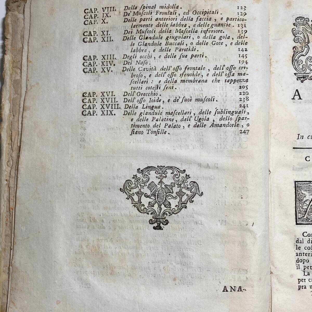 希少な医学書】1758年『ANATOMIA CHIRURGICA』第3巻 銅版画図版 希少な医学書】1758年『ANATOMIA CHIRURGICA』第3巻 銅版画図版